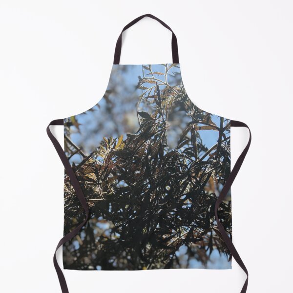 Item preview, Sun shining through beautiful elderberry bush. designed and sold by Lorraine Lashley  - My Joy..