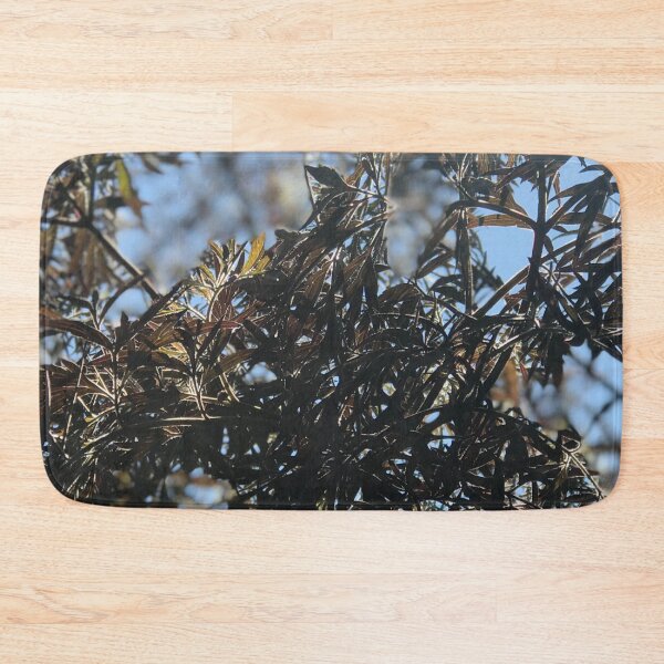 Item preview, Sun shining through beautiful elderberry bush. designed and sold by Lorraine Lashley  - My Joy..