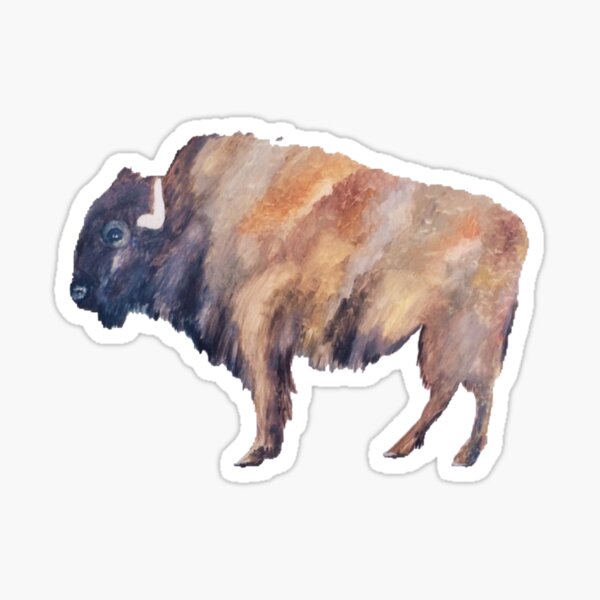 The buffalo Sticker