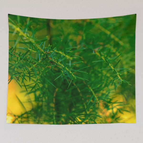 Item preview, Green wild juniper in sunlight designed and sold by yarvin13.