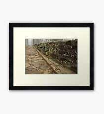 past the fog Framed Print