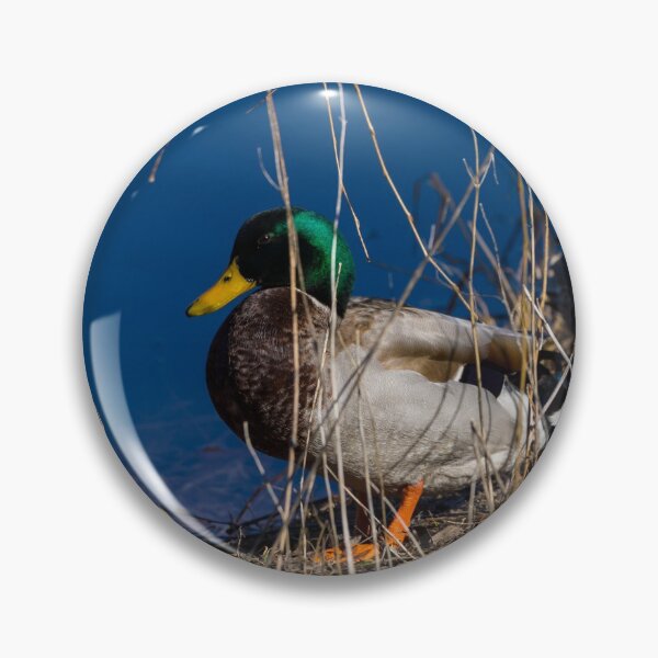 Item preview, Mallards In Disguise designed and sold by mljdwhite.