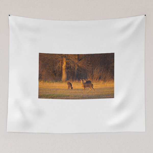 Item preview, Deer at Sunset designed and sold by James Cumming.