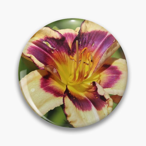 Item preview, Peach And Wine Daylily designed and sold by Cynthia48.