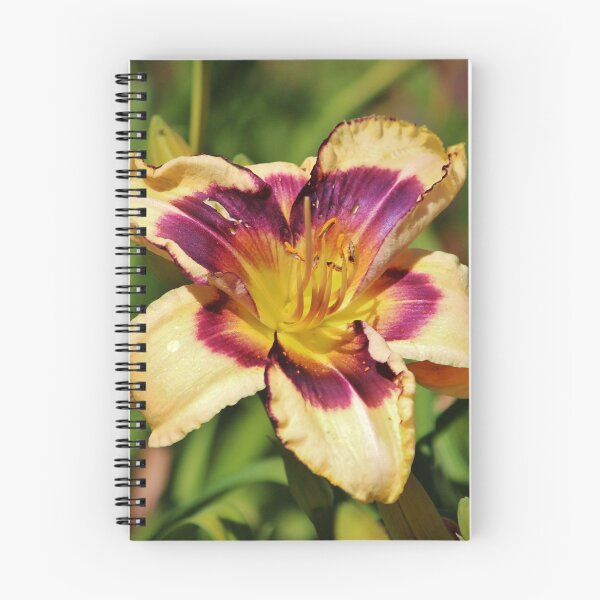 Item preview, Peach And Wine Daylily designed and sold by Cynthia48.