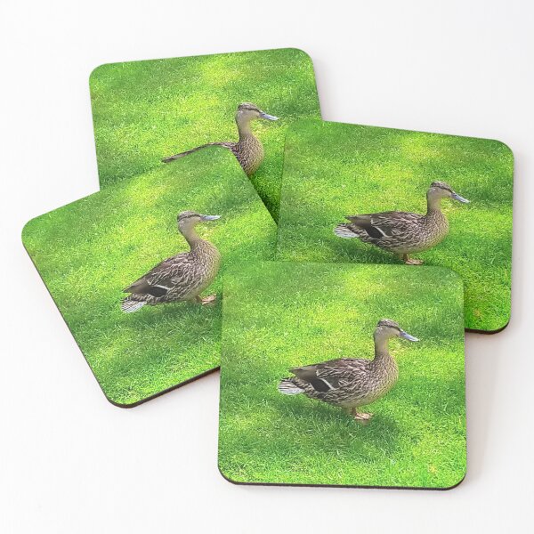 Item preview, Friendly Feathered Friend designed and sold by NerdGrrl.