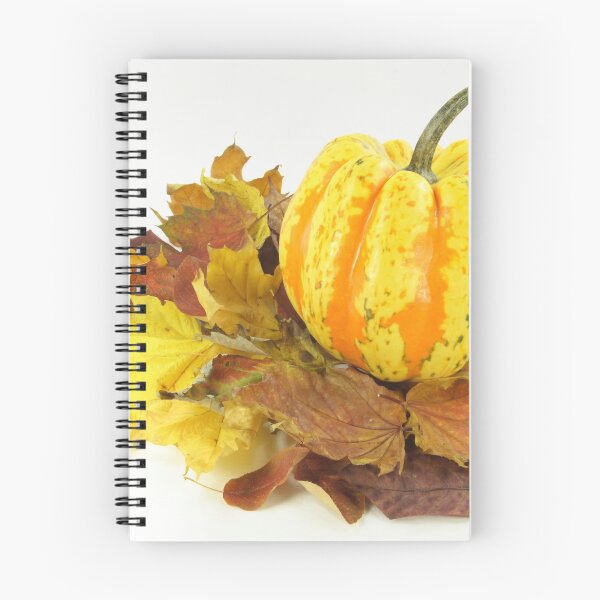 Aperçu de l'œuvre Thanksgiving, Fall. Autumn etude with pumpkin. créée et vendue par AlexIPhotograph.