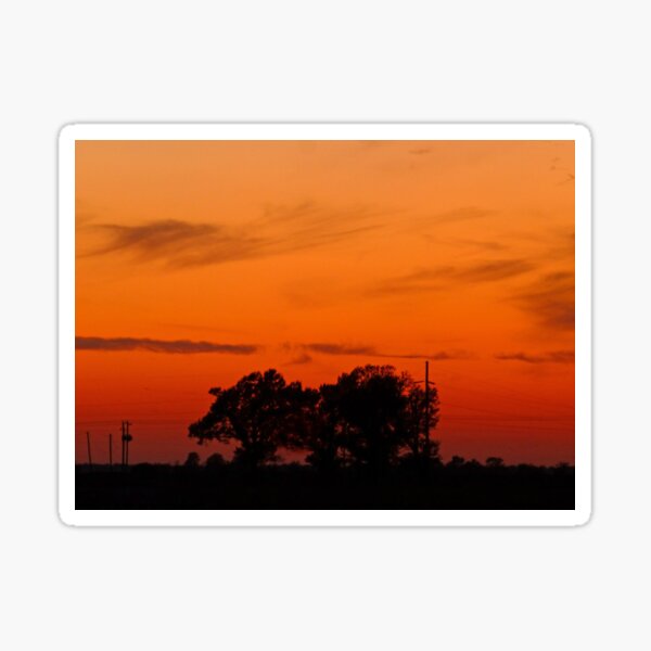 Item preview, The Arkansas Razorback Tree, in a Sunset designed and sold by WildestArt.