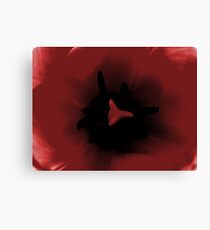 Red Flower Canvas Print