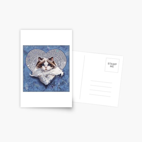 Valentine's cats 3 Carte postale
