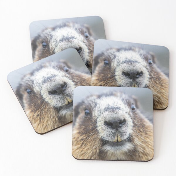 Item preview, Funny Marmot   designed and sold by Dale Adams.