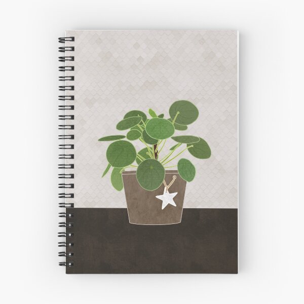 Item preview, Pilea Peperomioides plant designed and sold by BrindilleDeMai.