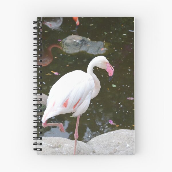 Item preview, Ciconiiformes in the pond designed and sold by Landscapology.