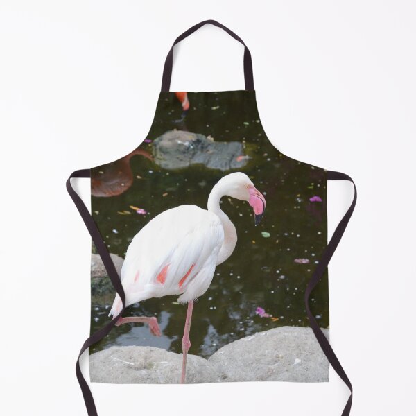 Item preview, Ciconiiformes in the pond designed and sold by Landscapology.