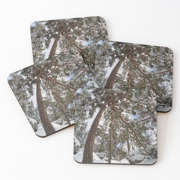 Item preview, Bending with snow designed and sold by Jouko Lehto Photography.