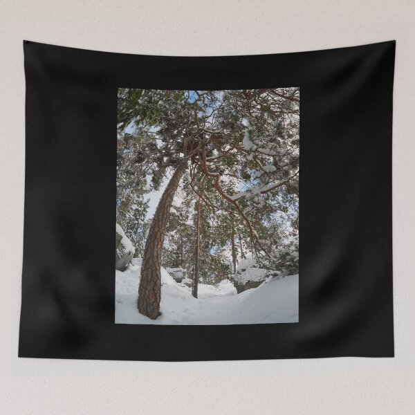 Item preview, Bending with snow designed and sold by Jouko Lehto Photography.