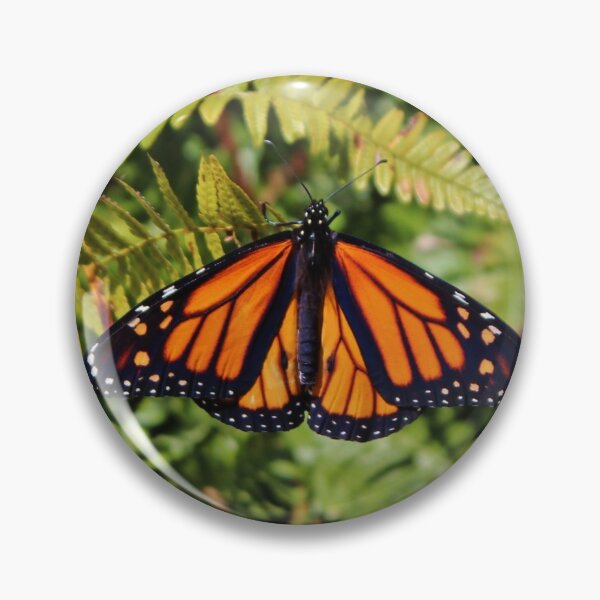 Item preview, Monarch Resting designed and sold by Cynthia48.