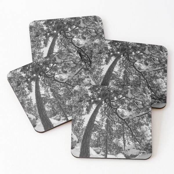 Item preview, Bending with snow bw designed and sold by Jouko Lehto Photography.