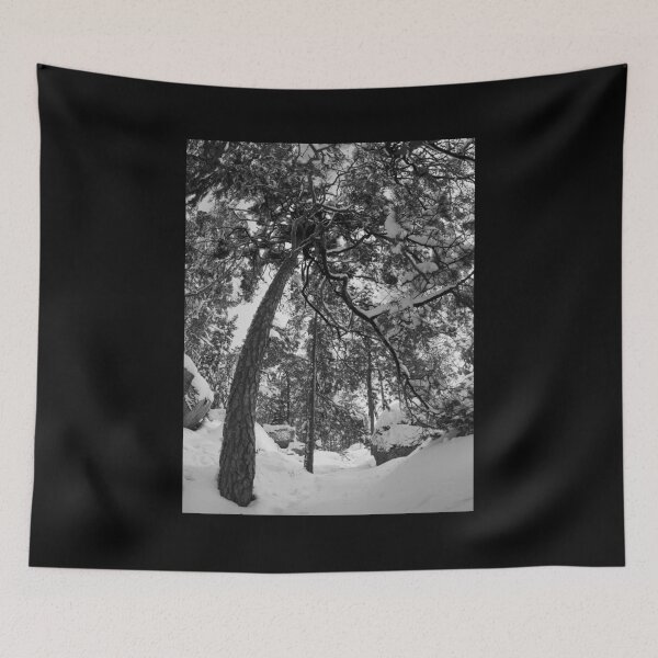 Item preview, Bending with snow bw designed and sold by Jouko Lehto Photography.