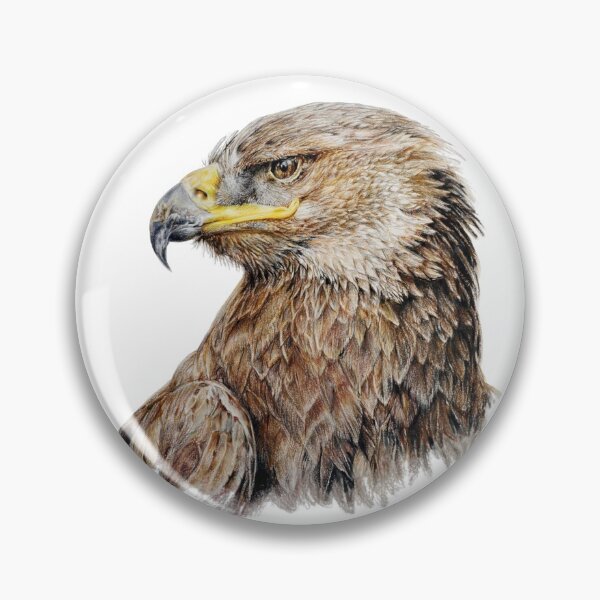 Item preview, Original Steppe Eagle colored pencil art designed and sold by Tricia Newton.