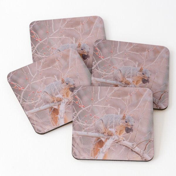 Item preview, Squirrel in Hawthorn Tree Retro Photo designed and sold by graemariedesign.