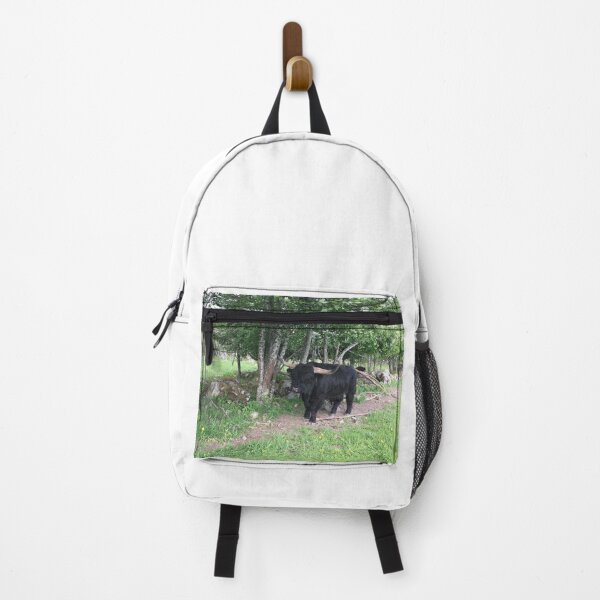 Item preview, Scottish Highland Cattle Bull 2403 designed and sold by SaarelaHighland.