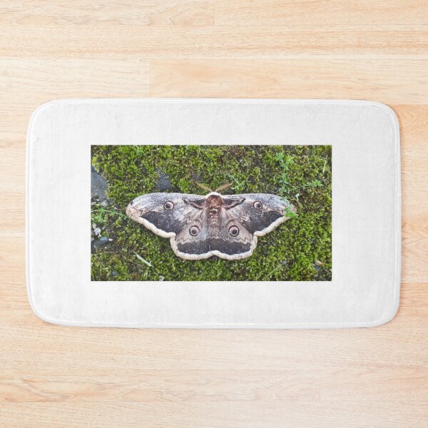 Item preview, Mossy Moth designed and sold by WildeRoseArts.
