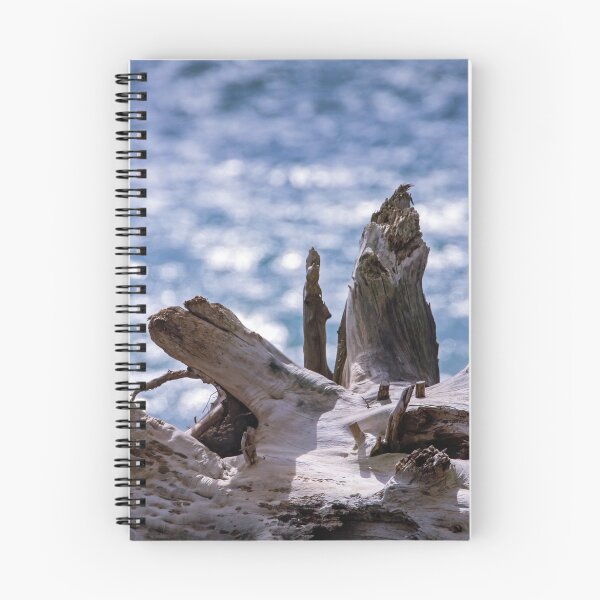 Item preview, Old Drift Wood Tree Stump designed and sold by Northern Pix.