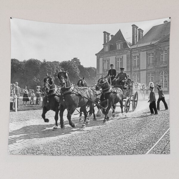 Item preview, r2732/ 15 Nostalgie " Le Haras du Pin " Finition 2021 "  Caléche et chevaux au galops (n&b)(t) Olavia-Olao Okaio Créations designed and sold by o.okaïo.