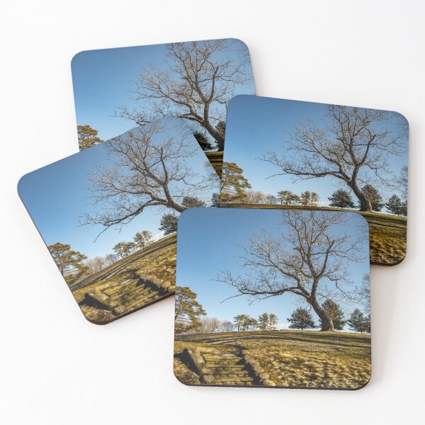 Item preview, Lonely Tree designed and sold by Daniel's Destinations.