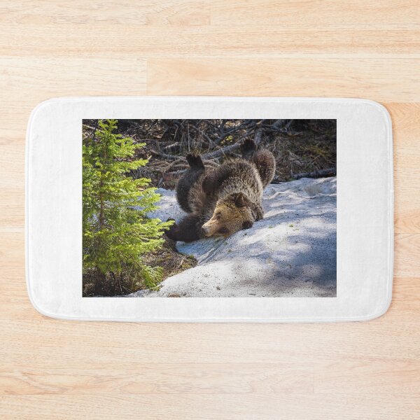 Item preview, Oops! Funny bear rolled too far. designed and sold by vagabondgal.
