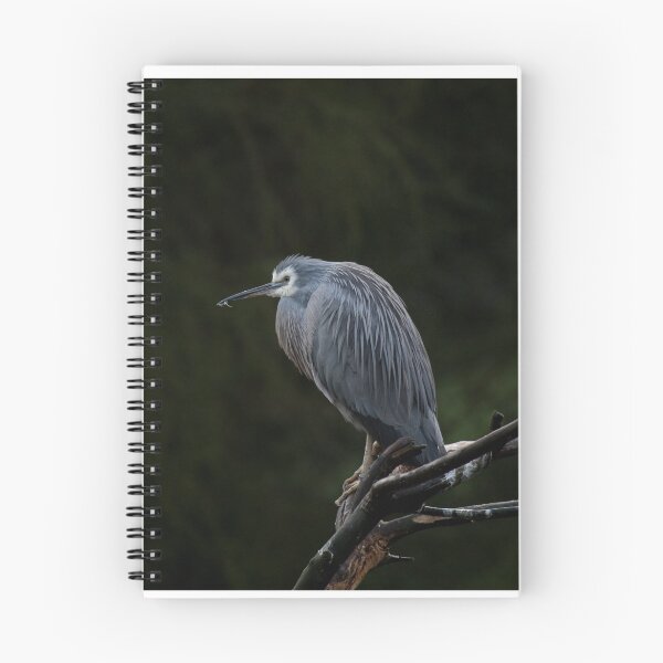 Item preview, White-Faced Heron designed and sold by margotk.