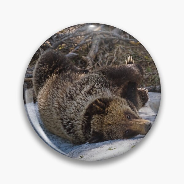 Item preview, Silly Bear designed and sold by vagabondgal.