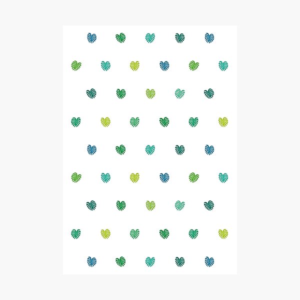 Happy Tropical Summer Photographic Print