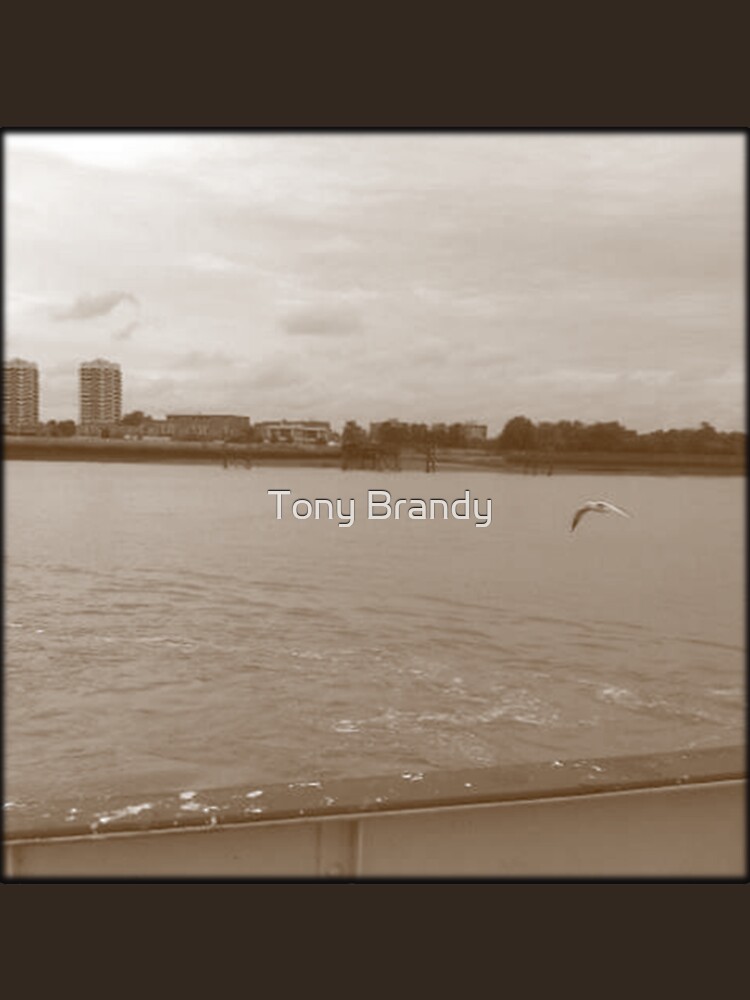 Woolwich Ferry 0101 by anthonyx00