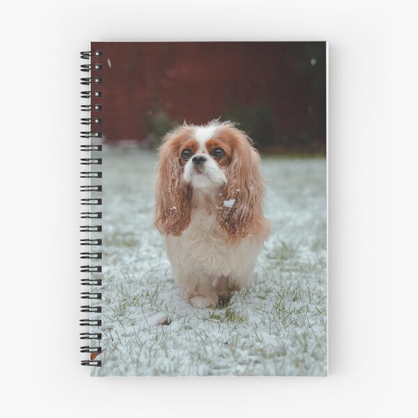 Item preview, Snow Cavalier  designed and sold by JoshDaBosh.