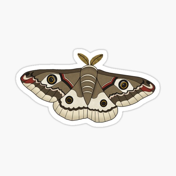 Zephyr eyed silk moth sticker, Silkmoth sticker, cute moth sticker,  butterfly stickers, silk moth illustration, moth drawing, moth painting