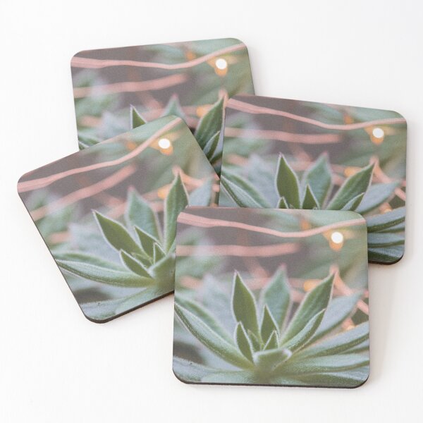 Item preview, Firecracker Succulent Lights Retro Photo designed and sold by graemariedesign.