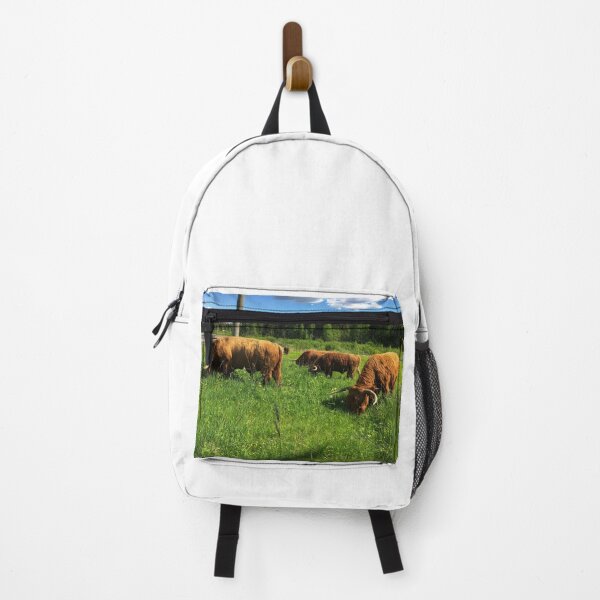 Item preview, Scottish Highland Cattle Bulls 2415 designed and sold by SaarelaHighland.