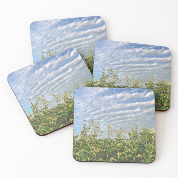 Item preview, Yellow Roadside Flowers and Blue Sky Retro Photo designed and sold by graemariedesign.