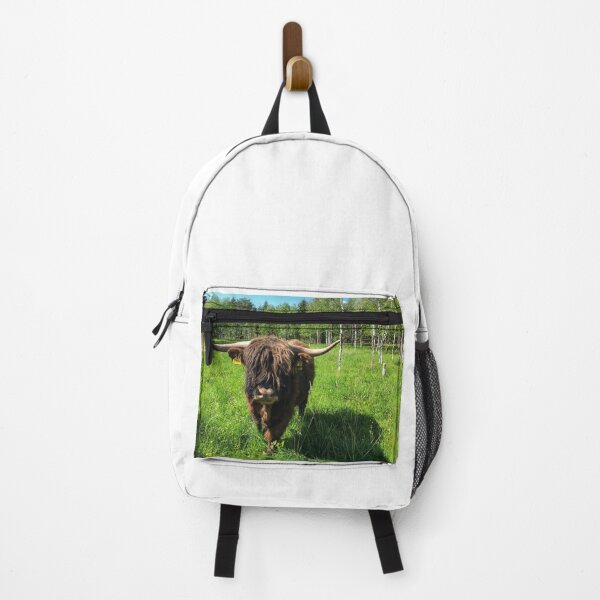Item preview, Scottish Highland Cattle Bull 2416 designed and sold by SaarelaHighland.