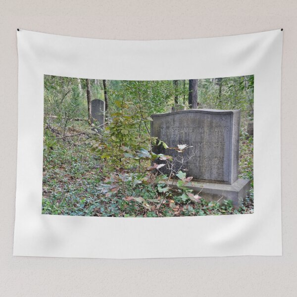 Item preview, Forgotten Graves designed and sold by LisaWootenPhoto.