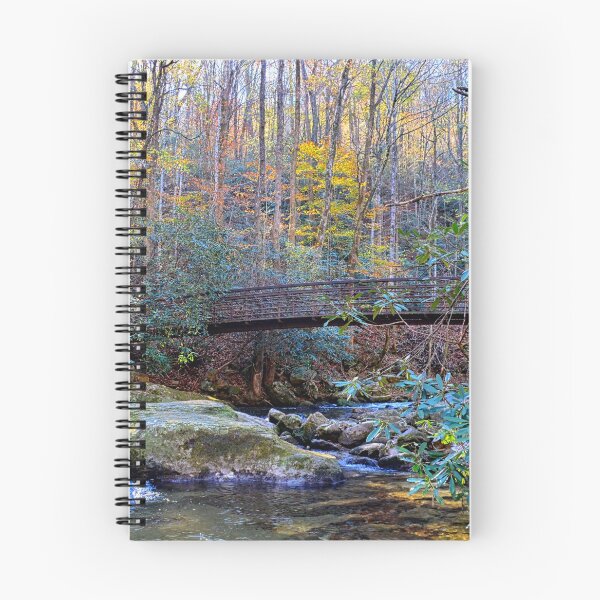Item preview, The Bridge At Jones Gap State Park Greenville South Carolina designed and sold by LisaWootenPhoto.