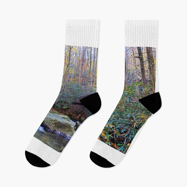 Item preview, The Bridge At Jones Gap State Park Greenville South Carolina designed and sold by LisaWootenPhoto.