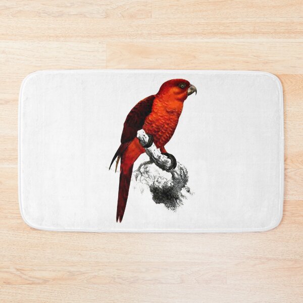 Item preview, Rare Parrot of Solomon Islands Vintage 19th century illustration designed and sold by Rantan1618.