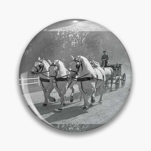 Item preview, r2733/ 16 Nostalgie " Le Haras du Pin " Finition 2021 "  Caléche en Parade public (n&b)(t) Olavia-Olao Okaio Créations designed and sold by o.okaïo.