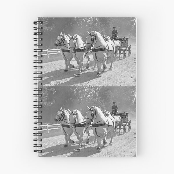 Item preview, r2733/ 16 Nostalgie " Le Haras du Pin " Finition 2021 "  Caléche en Parade public (n&b)(t) Olavia-Olao Okaio Créations designed and sold by o.okaïo.