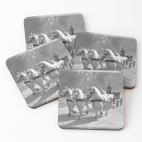 Item preview, r2733/ 16 Nostalgie " Le Haras du Pin " Finition 2021 "  Caléche en Parade public (n&b)(t) Olavia-Olao Okaio Créations designed and sold by o.okaïo.