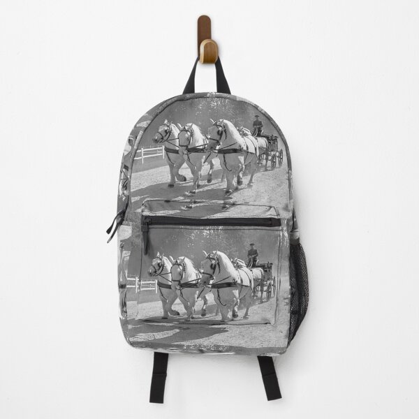 Item preview, r2733/ 16 Nostalgie " Le Haras du Pin " Finition 2021 "  Caléche en Parade public (n&b)(t) Olavia-Olao Okaio Créations designed and sold by o.okaïo.