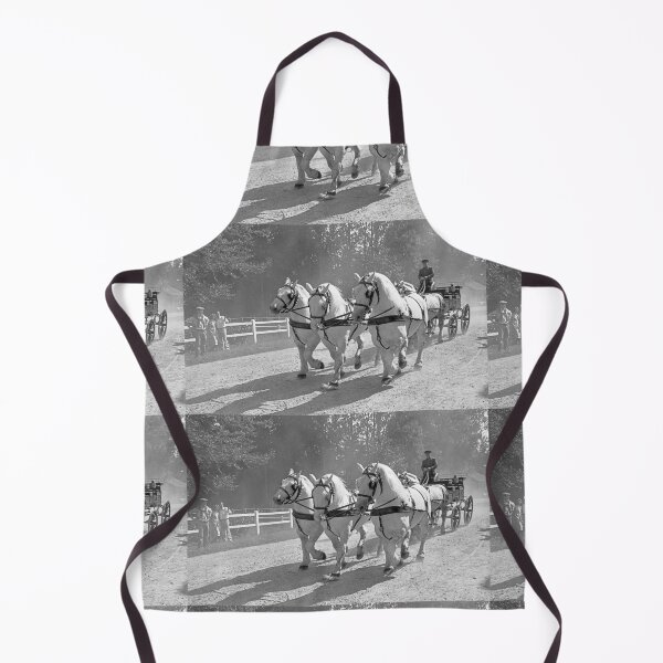 Item preview, r2733/ 16 Nostalgie " Le Haras du Pin " Finition 2021 "  Caléche en Parade public (n&b)(t) Olavia-Olao Okaio Créations designed and sold by o.okaïo.